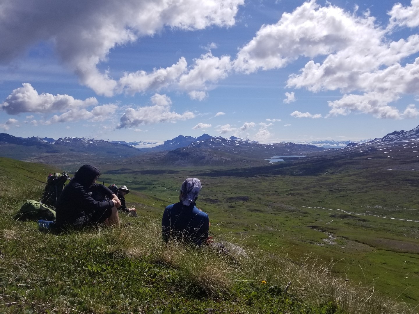 Hiking amidst the tundra and wildflowers